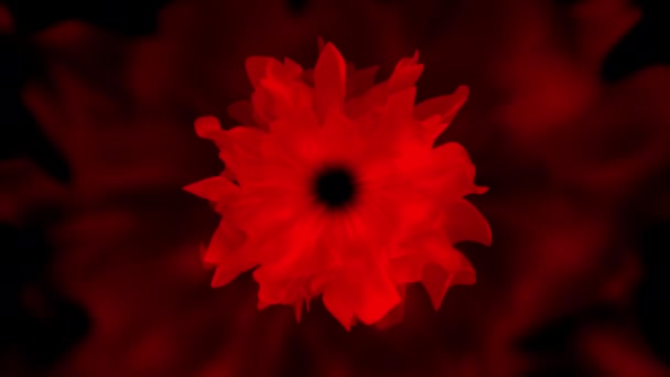 Красиві Квіти Флора Візерунок Текстура Прикраси Задньому Плані — стокове відео