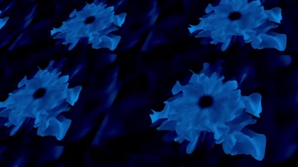 Όμορφη Ανθισμένα Λουλούδια Χλωρίδα Μοτίβο Υφή Διακόσμηση Backdrop — Αρχείο Βίντεο