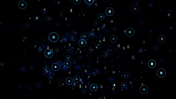 Cerchi Blu Elettrico Galleggiano Nel Cielo Mezzanotte Uno Sfondo Nero — Video Stock