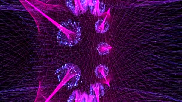Experimente Mundo Fascinante Patrones Fractales Púrpura Azul Luces Fuegos Artificiales — Vídeos de Stock