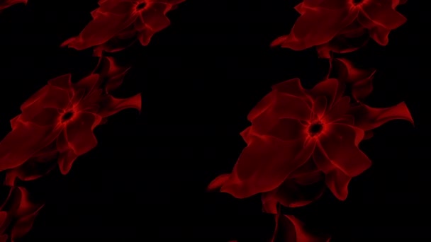 Krásné Kvetoucí Květiny Flóra Vzor Textury Dekorace Backdrop — Stock video