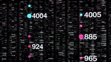 Veri Kodu Numaralar Ağ Bilgi Canlandırma Arkaplanı. Yüksek kalite 4k görüntü