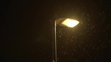 Sokak lambasının parladığı kentsel gece sahnesi yağan yağmurun üzerine parlıyor, dingin ve karamsar bir atmosfer yaratıyor.