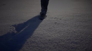 Derin Karda Yürüyen Erkek Tek Ağaca Bakıyor 