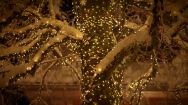 Kış gecelerinde peri ışıklarıyla aydınlatılmış karla kaplı güzel bir ağaç. Sıcak ve şenlikli ortam.