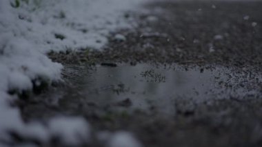 Kasvetli gökyüzünü yansıtan taze kar birikintileriyle kaplı kasvetli kış yolu serin ve sakin bir ambiyans yayıyor.