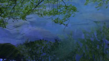 Sakin ve huzurlu orman manzarası, sakin bir su kütlesine yansıyarak rahatlatıcı ve huzurlu bir atmosfer yaratıyor..