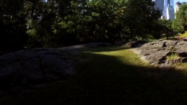 Serene Park sahnesinde yemyeşil ve güneşli gölgelerle çevrili doğal kaya oluşumları sergileniyor..