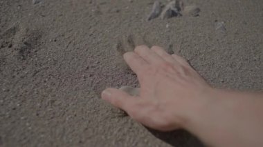 Uzanıp kumlu zemine dokunan bir elin yakınlaşması, açık hava doğa keşfi kavramını iletiyor