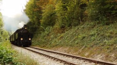 Eski bir buhar treni, güneşin altındaki yeşil bir ormanın içinden geçerek kırsal bir bölgede nostalji uyandırır.