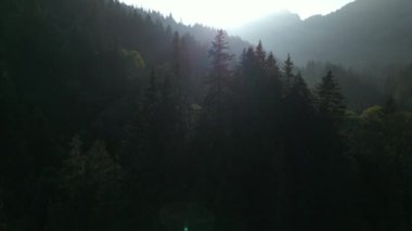 Sisli bir dağ ormanının üzerinde gün doğumunun sakin bir görüntüsü huzur ve huzur getirir. Huzur ve doğal güzelliği çağrıştırır.