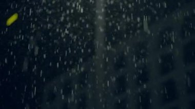 Geceleri bir şehre yağmur yağar ve kasvetli bir şehir atmosferi yaratır. Islak asfalt şehir ışıklarını yansıtır, havayı canlandırır.