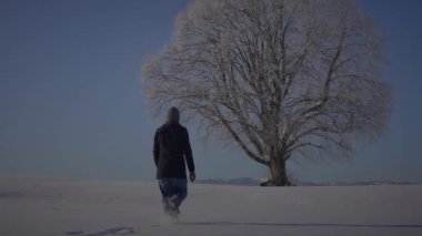 Karla kaplı tarladaki donuk ağaca doğru yürüyen insan yalnızlığı ve kışları berrak mavi gökyüzünün altında güzel hisseder.