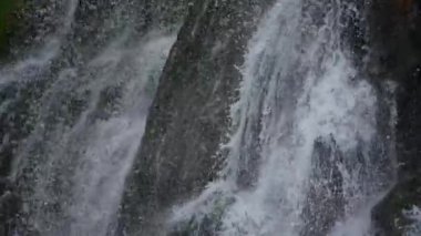 Büyüleyici ve çarpıcı bir şelale engebeli kayaların üzerinde zarifçe çağlıyor, hepsi yemyeşil, canlı yeşilliklerle çevrili.