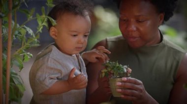 Bir ebeveynin çocuklarına sevgi ve bahçıvanlık beslediği ve onları cesaretlendirdiği keyifli ve keyifli bir an.