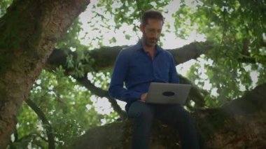 Dayanıklı bir ağaç dalına oturmuş, dışarıda huzurlu bir şekilde otururken dizüstü bilgisayar kullanan bir adam.