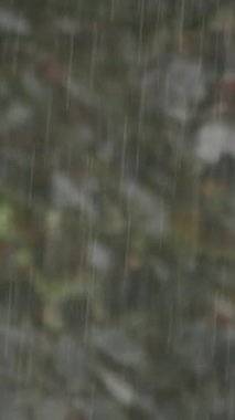 Yumuşak, bulanık yağmur manzarası yemyeşil yaprakların arasına yavaşça düşüyor, sakin güzellikleri yakalıyor.