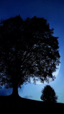 Ay 'a bakan heybetli bir ağacın sakin silueti, dinginliği ve güzelliği çağrıştırıyor.