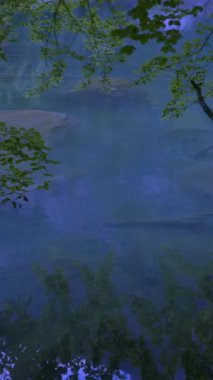 Huzurlu ve huzurlu bir su yüzeyi, mavi tonlardaki yemyeşil yeşilliği yansıtır.