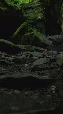 Huzurlu ve huzurlu bir patika. Huzurlu bir orman içinde Mosscovered kayaları ile güzel bir şekilde sıralanmış.