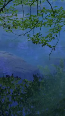 Bereketli yeşillik ve doğa ile çevrili sakin sularda canlı yansımalarla huzurlu bir açık hava sahnesi.