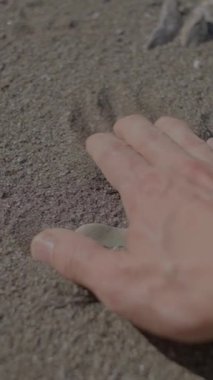 Tek bir el nazikçe sıcak kumu hissetmek için uzanır, dokunun ve doğanın gerçek özünü yakalar.