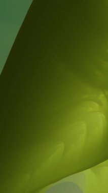 Zarif ve yumuşak gölgelerle birlikte nazik eğimlere sahip güzel, sakin, soyut bir yeşil arka plan.