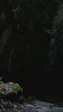 Bir mağara girişinin entrika dolu karanlığına dalın. Yosun, yosun ve kayalık oluşumlar tarafından güzelce çerçevelenmiş.