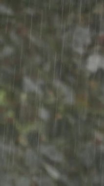 Çok güzel bulanık bir görüntü. Yağmurun özünü yakalıyor. Zarif bir şekilde yeşil bir zemine düşüyor.