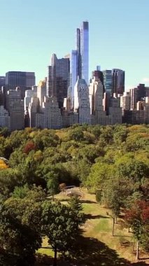 New York 'un güzel siluetine karşı serpilmiş Central Park' ın çarpıcı ve pitoresk manzarası.