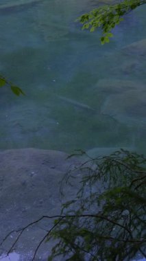 Doğayı yansıtan berrak suların sakin görüntüsü, huzurlu yansıma anları ve açık havada dinlenme için ideal.