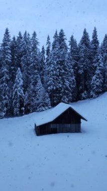 Karlı bir ormanın ortasında, doğanın özünü yansıtan bir kulübe içeren sakin bir kış manzarası..