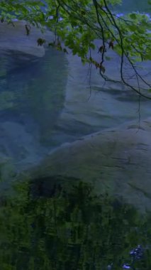 Huzurlu, sakin bir su manzarası kristal berrak su ve pürüzsüz taşları çevreleyen yemyeşil bir su içerir.