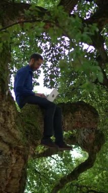 Bir insan rahat ve rahat bir şekilde bir ağaç dalında otururken uzak bir işle meşgul olur ve doğası gereği ona sarılır.