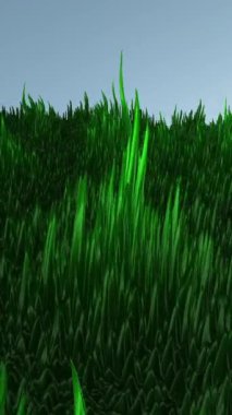 Canlı, yemyeşil çimenler, doğal temalı projeler için ideal açık mavi bir gökyüzü altında zarif bir şekilde sallanıyor.