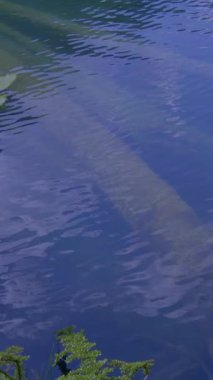 Suyun sakin yüzeyinin altında yemyeşil ve bitkilerle çevrili gizli bir yapı yatıyor.