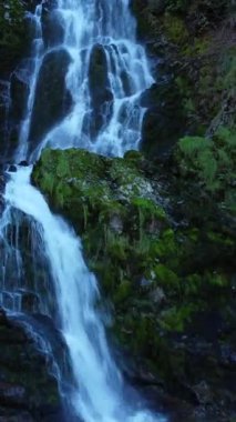 Güzel, dingin bir şelale canlı, gelişen bir orman ortamında sivrisineklerle kaplı kayaların üzerinde zarifçe akıyor.