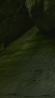 Nazik doğal ışık ve gölgelerle hafifçe aydınlatılan engebeli bir kaya yüzeyinin yakın görüntüsü.