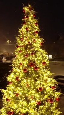 Renkli ışıkları ve kırmızı süslemeleri olan güzel dekore edilmiş bir Noel ağacı, huzurlu ve büyülü bir gecede geçiyor.