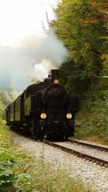 Klasik bir buhar treni, tamamen canlı doğayla kaplanmış, güzel ve manzaralı bir demiryolu boyunca mutlu bir şekilde tıkınır.