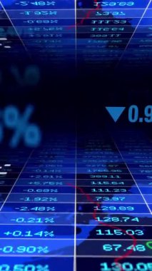 Bu, çeşitli finansal verilerdeki borsa dalgalanmalarını ve eğilimleri gösteren görsel bir temsildir.