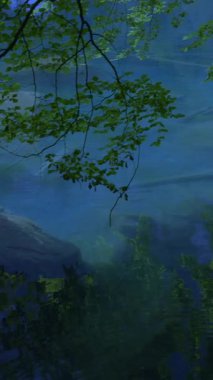 Huzurlu ve huzurlu bir orman yansıması, canlı yeşil ve sakin, el değmemiş suların yansıması.