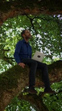 Bir adam, yukarıdaki yemyeşil yaprakların arasında ustalıkla dizüstü bilgisayar kullanarak büyük bir ağaç dalına rahatça oturabilir.