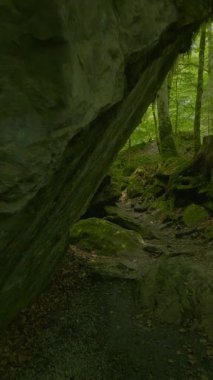 Gözlerden uzak, canlı bir ormanın derinliklerinde gizlenmiş bir mağaranın huzur ve resim gibi güzelliğini keşfedin ve keşfedin.