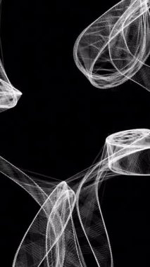 Hassas beyaz çizgilerin karmaşık akışı genel olarak büyüleyici ve soyut bir görsel etki yaratıyor.