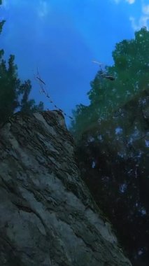 Mavi gökyüzünün altındaki etkileyici kayaların güzel manzarası yemyeşil ve doğal zenginliklerle çevrili.