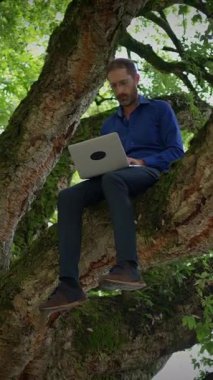 Ağacın tepesinde otururken dizüstü bilgisayarda çalışan neşeli bir birey. Uzaktan çalışmanın ve görkeminin tadını çıkarıyor.