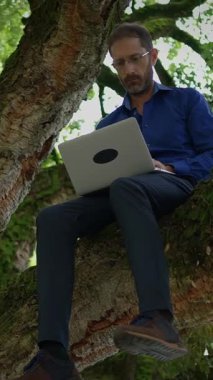 Bir adam dizüstü bilgisayarıyla ağaçta sakince oturur, doğanın güzelliğini, işi ve yaratıcılığıyla harmanlar.