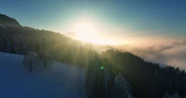 Nefes kesici bir gün doğumu güzel aydınlatıcı karlı manzaralar ve huzur dolu ağaçlar.