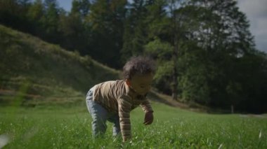 Neşeli bir çocuk mutlu bir şekilde doğanın harikalarını keşfediyor, yumuşak, yemyeşil çimenlerde sürünüyor, güneşli bir açık hava gününün tadını çıkarıyor.